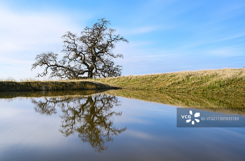 加州汉密尔顿山湖泊风光，美国图片素材