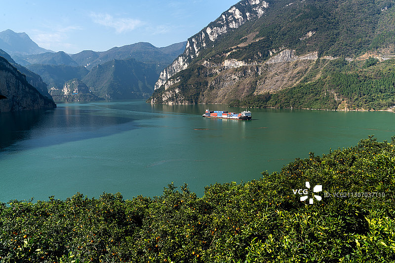 货船行驶在西陵峡河段，两岸脐橙飘香图片素材