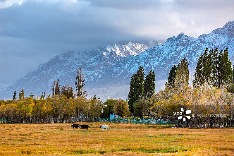 帕米尔高原的金银滩图片素材