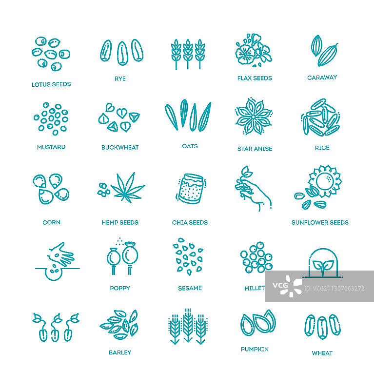 植物种子图标集图片素材