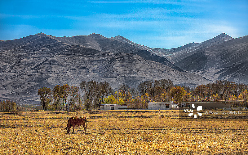 田园牧场之秋图片素材