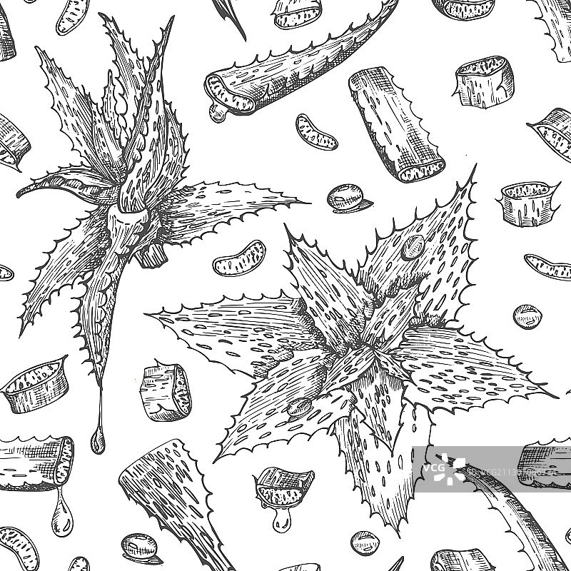 手绘芦荟无缝图案图片素材