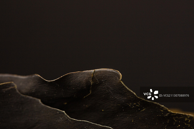 野生爱尔兰海带图片素材