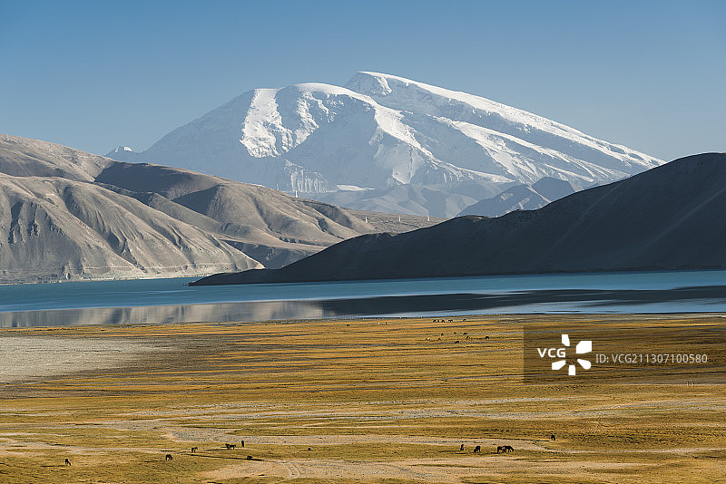 新疆慕士塔格峰与白沙湖图片素材