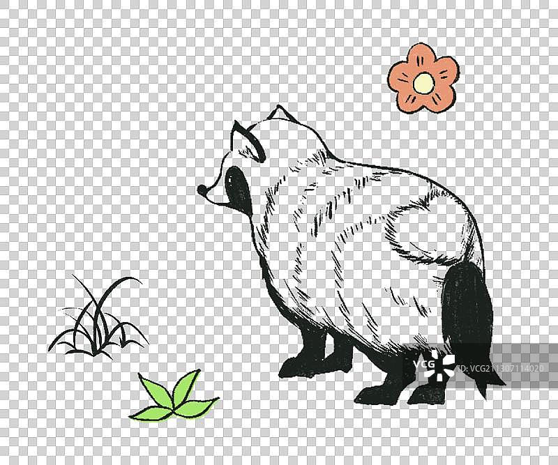 小浣熊图片素材