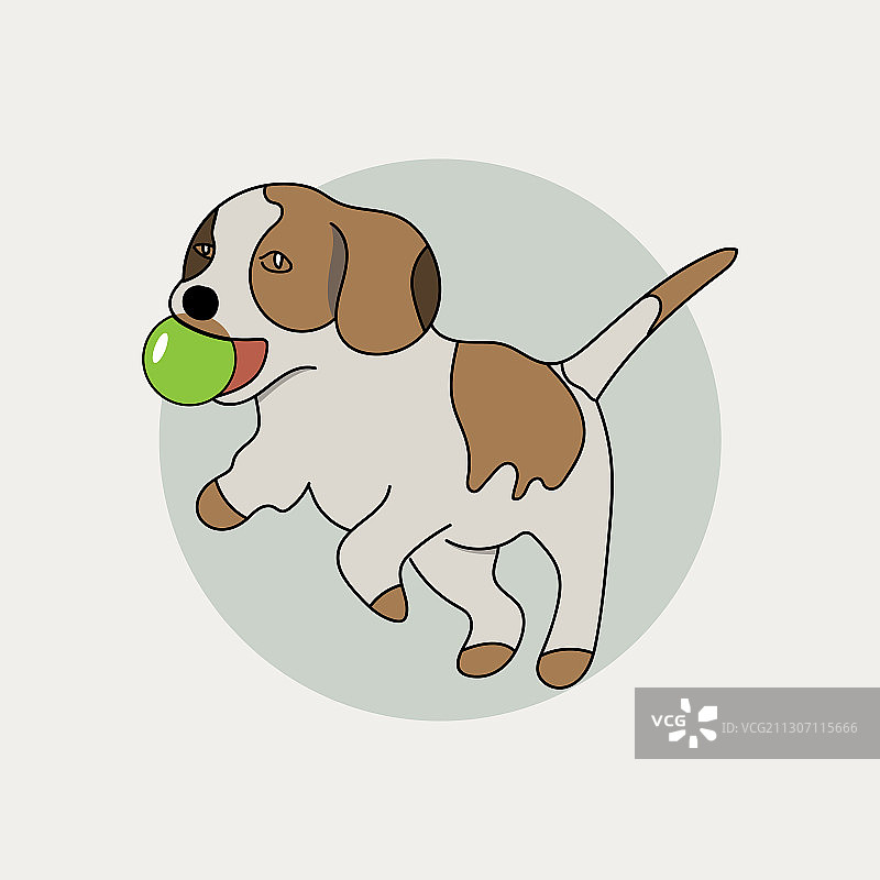 小狗玩绿色球图片素材