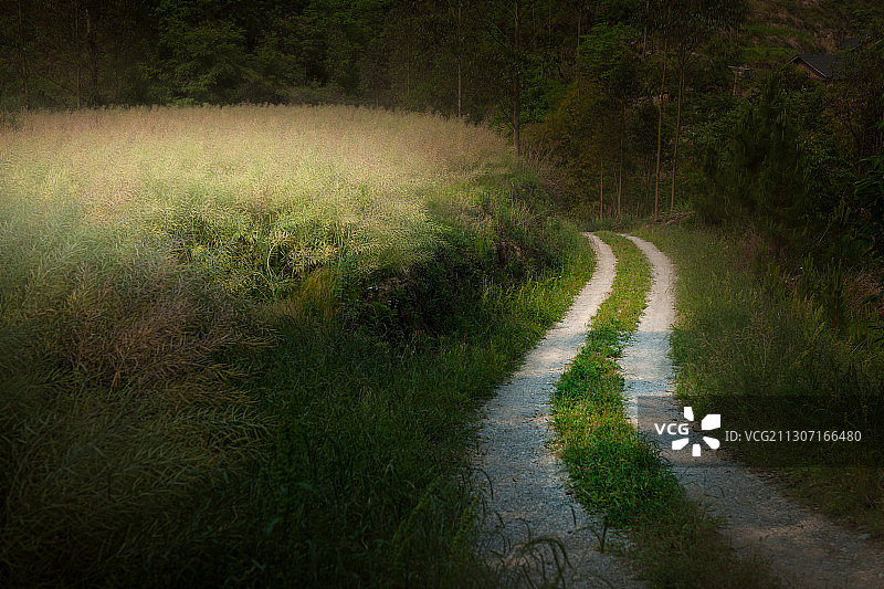 四川省内江市威远县骑龙坳景区图片素材