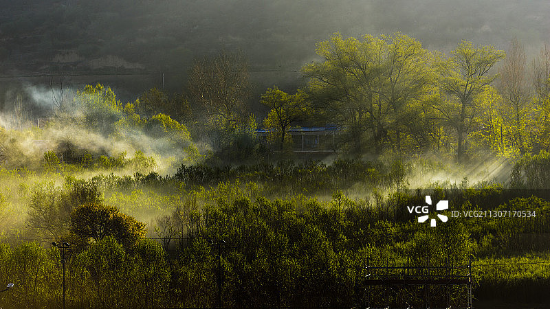 乡村晨雾图片素材