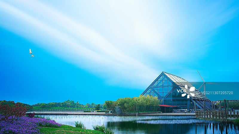 崇明东滩湿地图片素材