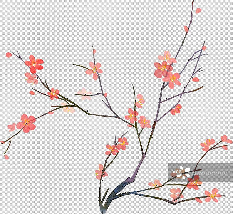 梅花枝元素图片素材