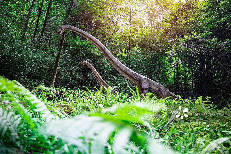 綦江国家地质公园图片素材