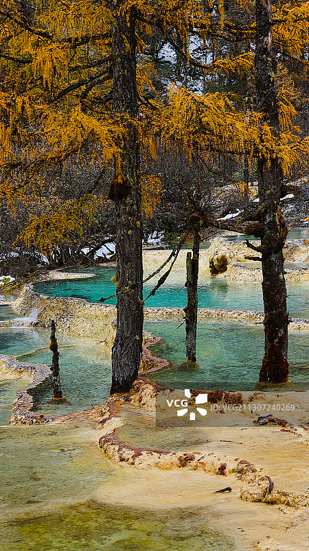 黄龙秋色图片素材