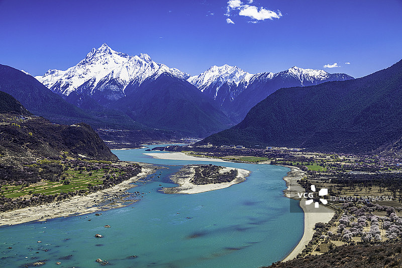 西藏林芝 雅鲁藏布江  桃花图片素材