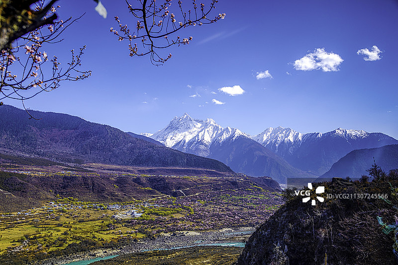 西藏林芝 雅鲁藏布江  桃花图片素材