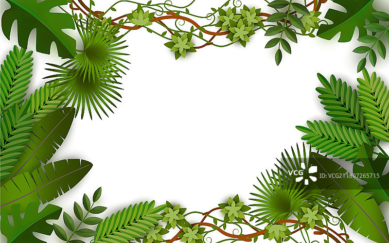 热带丛林绿叶边框图片素材
