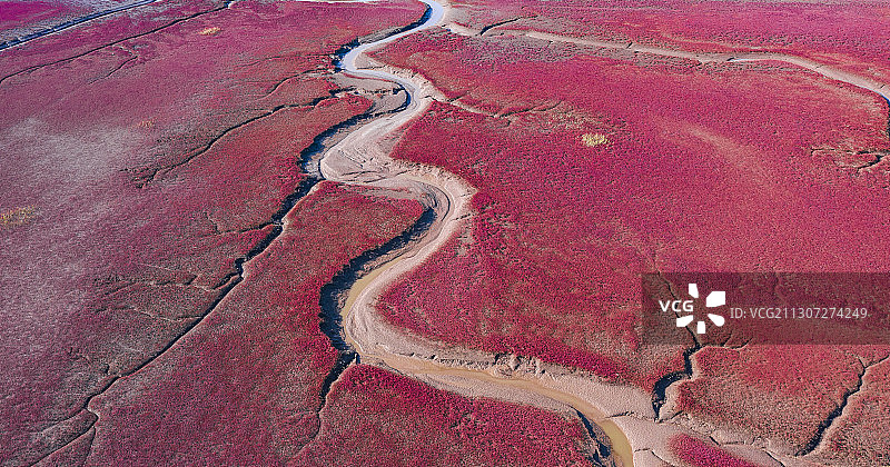 红海滩国家风景廊道 风光航拍摄影图片素材