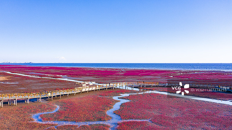 红海滩国家风景廊道 风光航拍摄影图片素材