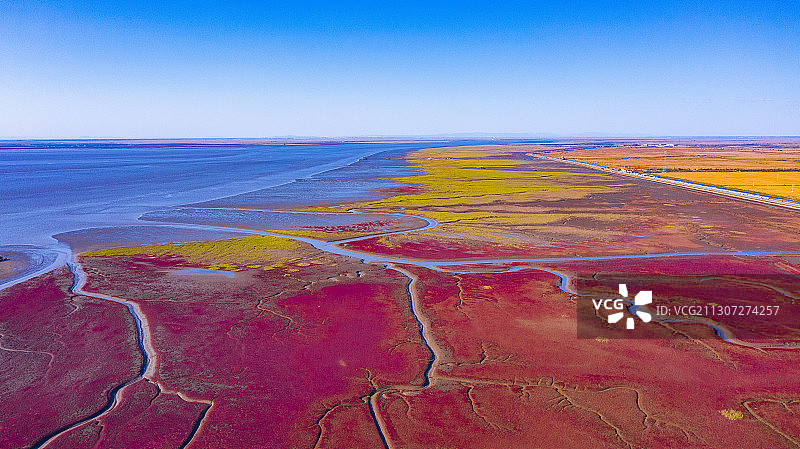 红海滩国家风景廊道 风光航拍摄影图片素材