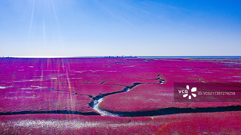 红海滩国家风景廊道 风光航拍摄影图片素材
