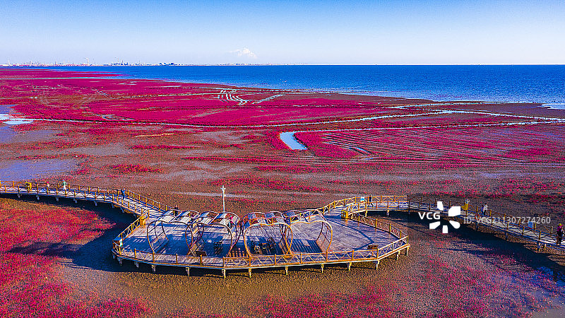 红海滩国家风景廊道 风光航拍摄影图片素材