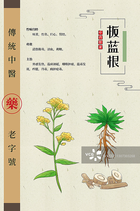 板蓝根图片素材