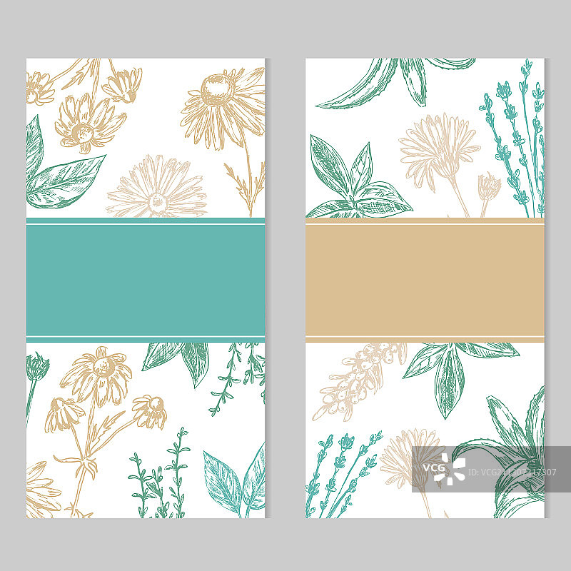 手绘花卉植物模板图片素材