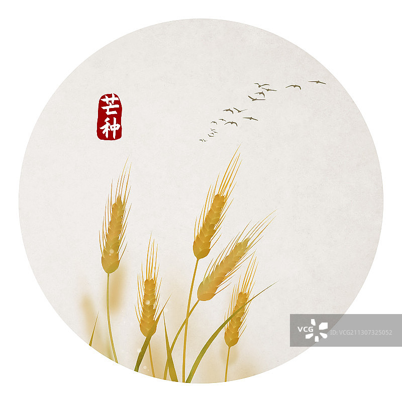 芒种节气中国风圆形插画图片素材