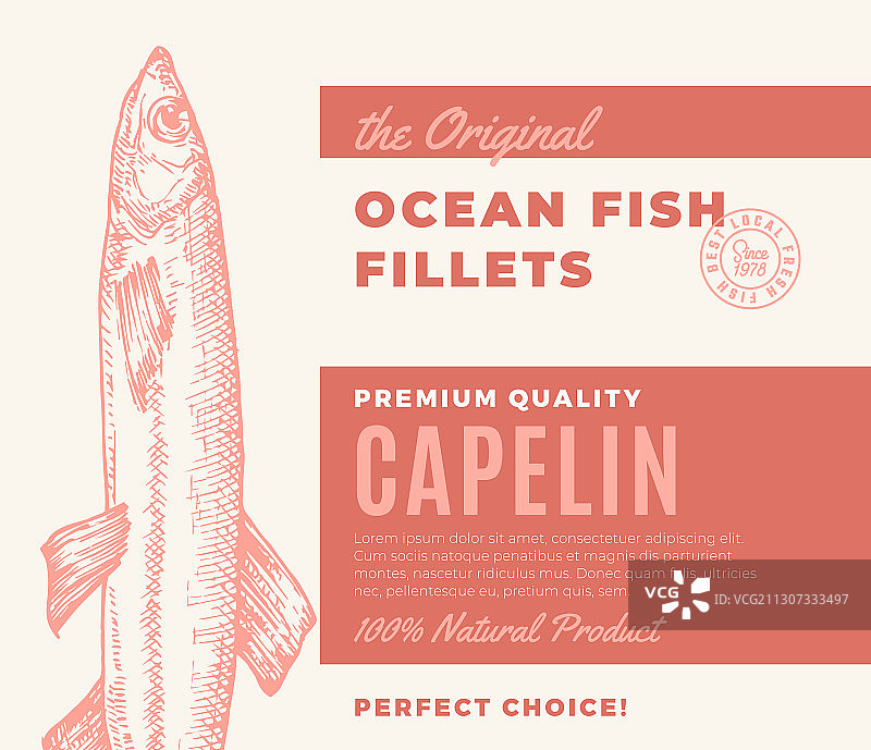 高级质量鱼片抽象鱼图片素材