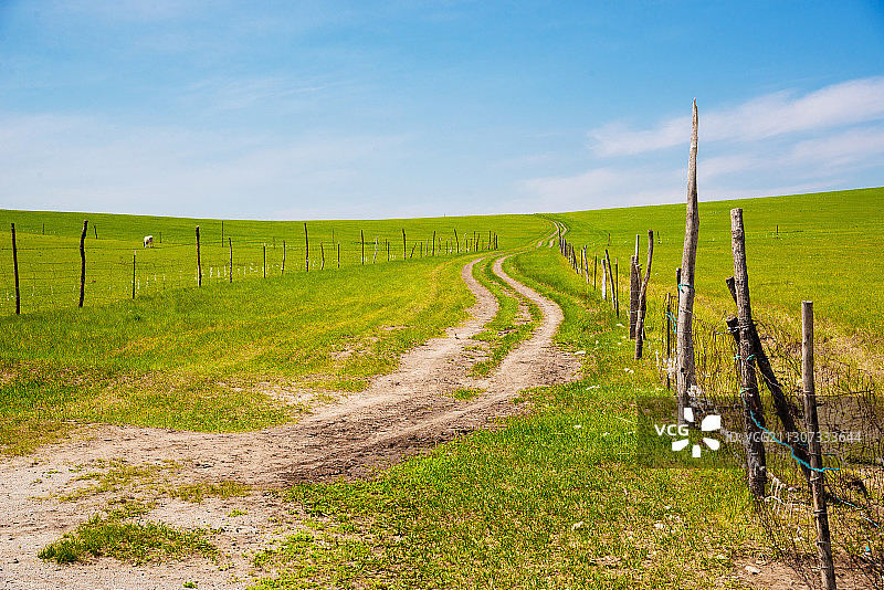 车辙穿过草原图片素材