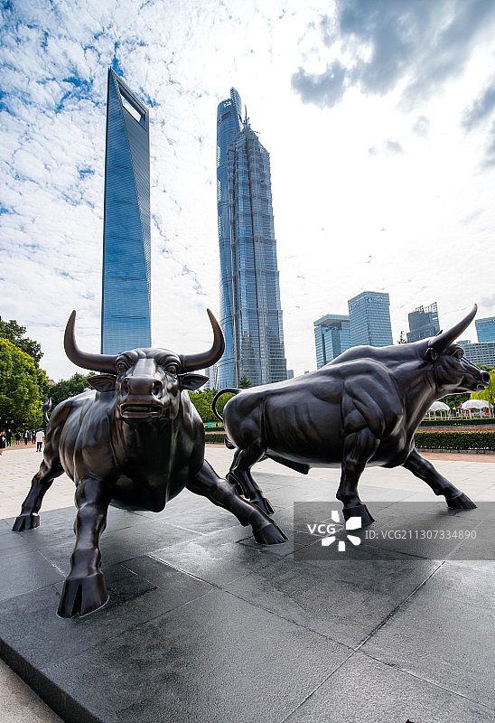 雄壮的牛图片素材