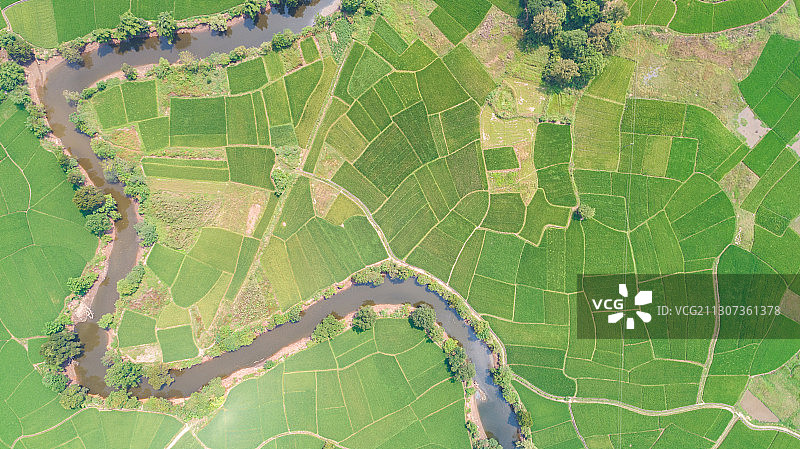 春天里蜿蜒小河两旁的稻田图片素材