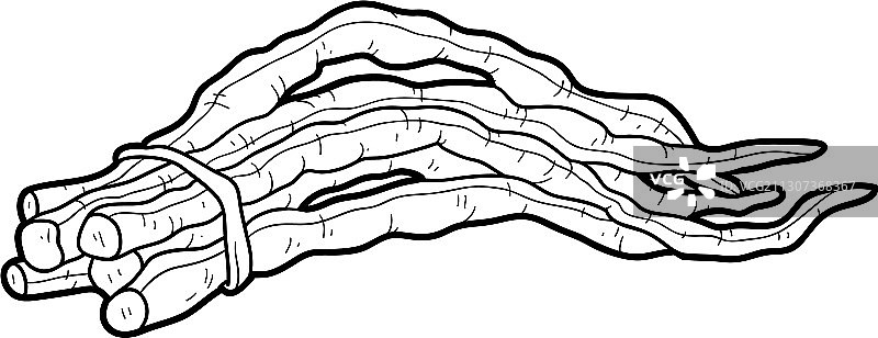 蔬菜涂色书：中国长豆图片素材