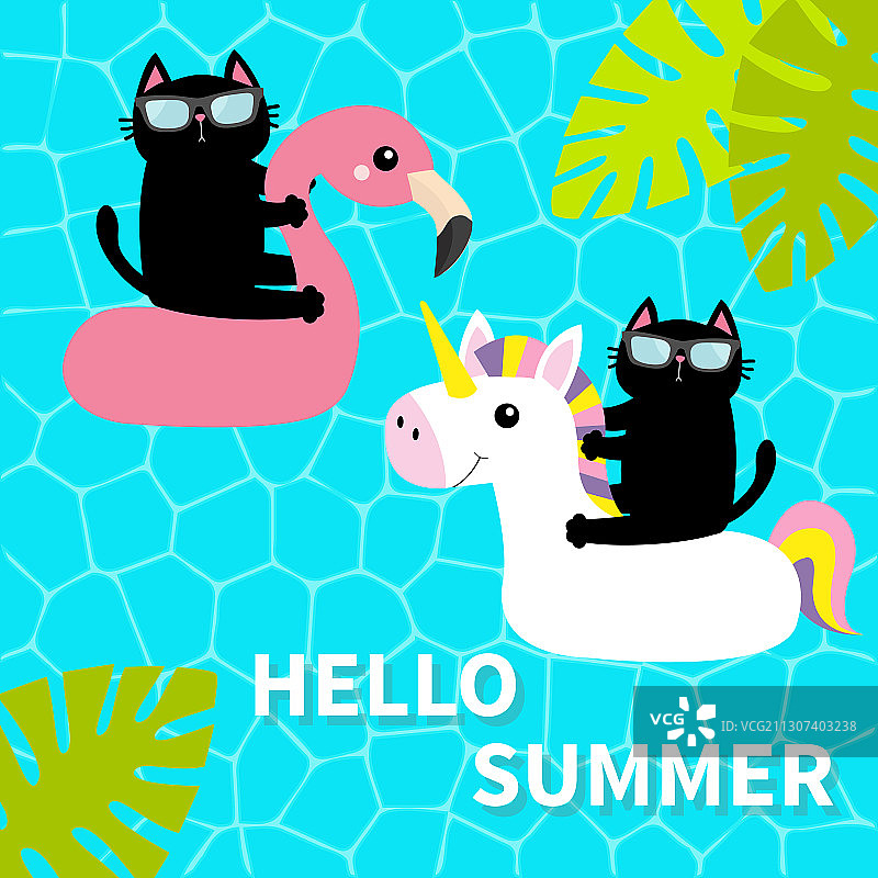 漂浮在白色火烈鸟独角兽泳池上的黑猫图片素材