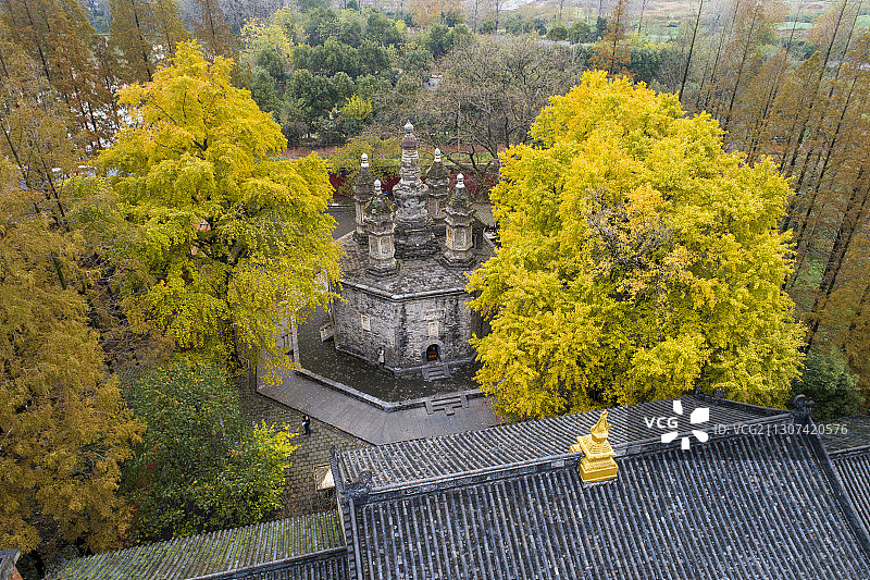 航拍广德寺多宝佛塔银杏树图片素材