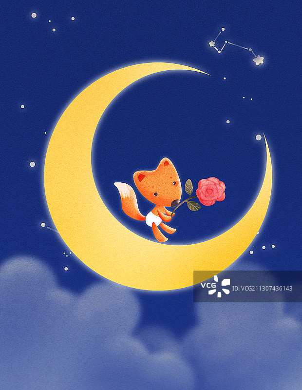 小狐狸图片素材