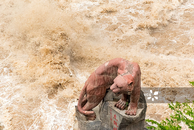浑浊澎湃的金沙江水激起巨大的浪花，一只猛虎雕像雄踞一角图片素材