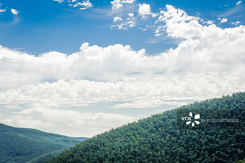 《宜兴竹海》图片素材