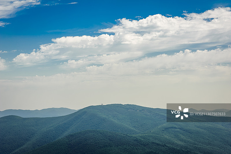 《宜兴竹海》图片素材