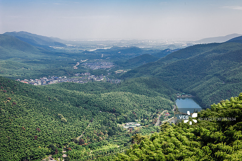 《宜兴竹海》图片素材