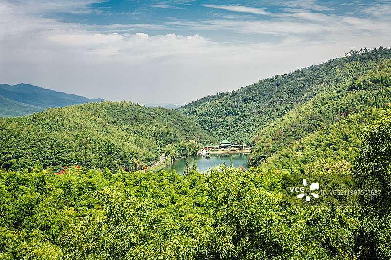 《宜兴竹海》图片素材