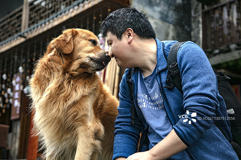 春天里的凤凰古城图片素材