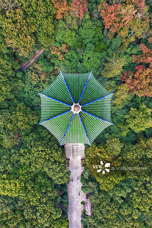 绿色大伞-灵谷寺塔图片素材