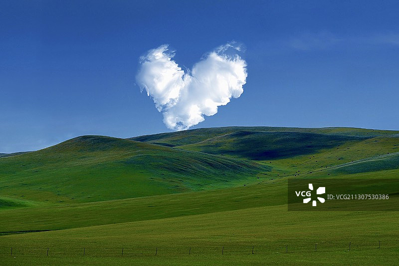 爱在草原-呼伦贝尔图片素材