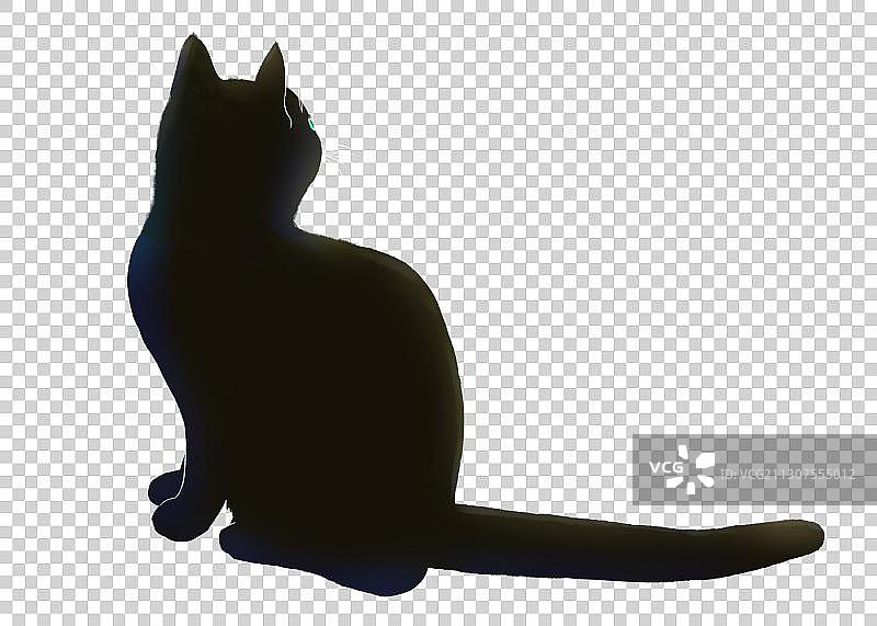 黑猫图片素材