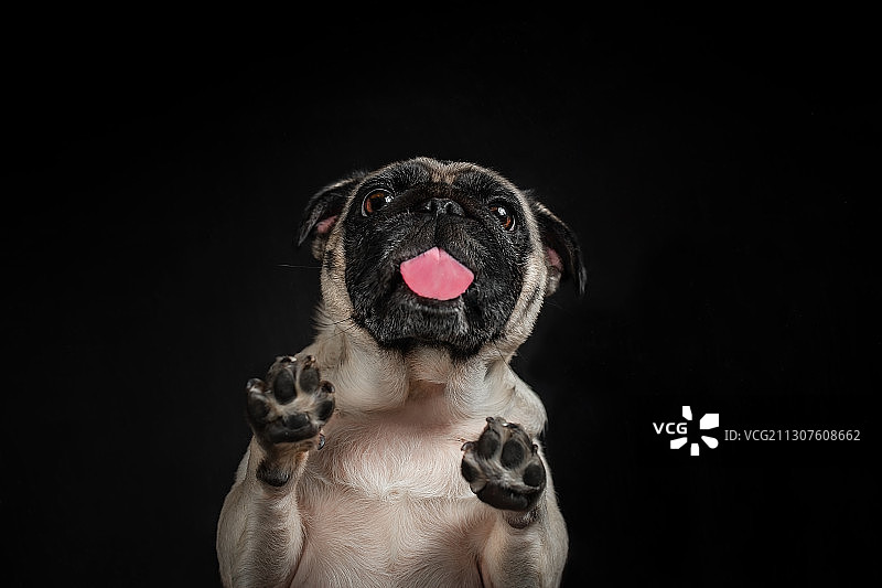 略略略略略图片素材