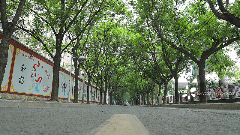 郑州市上街区新建街夏日风光图片素材