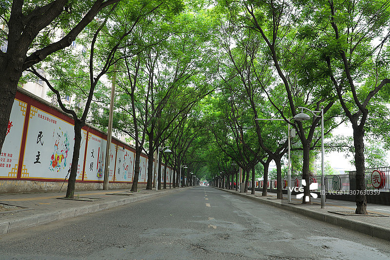 郑州市上街区新建街夏日风光图片素材