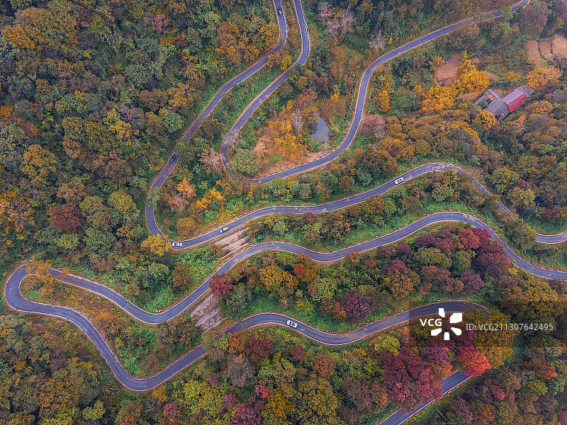 湖北安陆银杏谷航拍图片素材