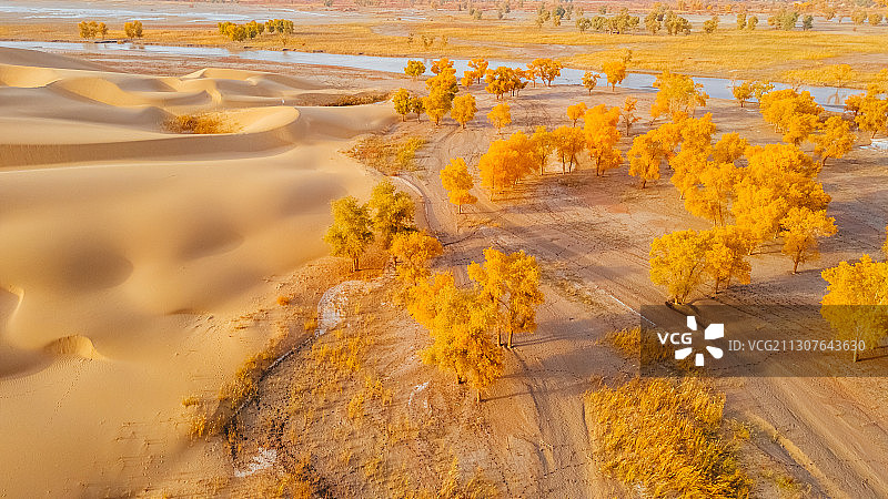 罗布人村寨图片素材