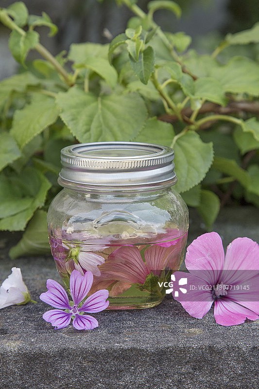 自制锦葵油（有助于治疗皮肤干燥和肝斑）图片素材